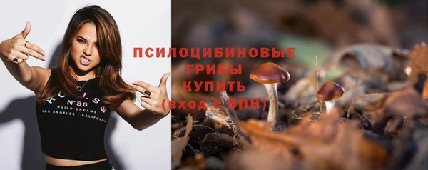 мескалин Баксан