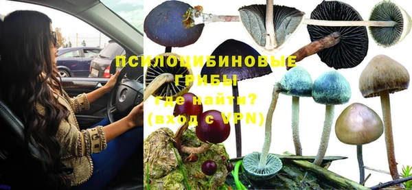 ПСИЛОЦИБИНОВЫЕ ГРИБЫ Балахна