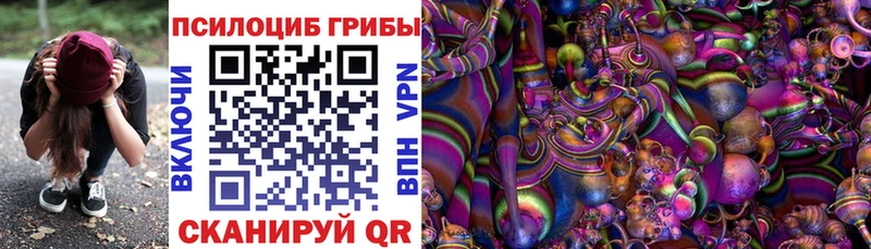 Галлюциногенные грибы GOLDEN TEACHER  Наволоки 
